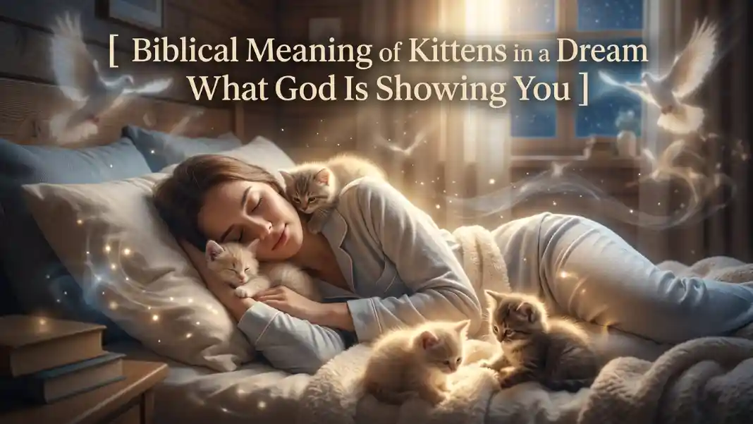 Biblical Meaning of Kittens in a Dream