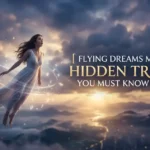 Flying Dreams