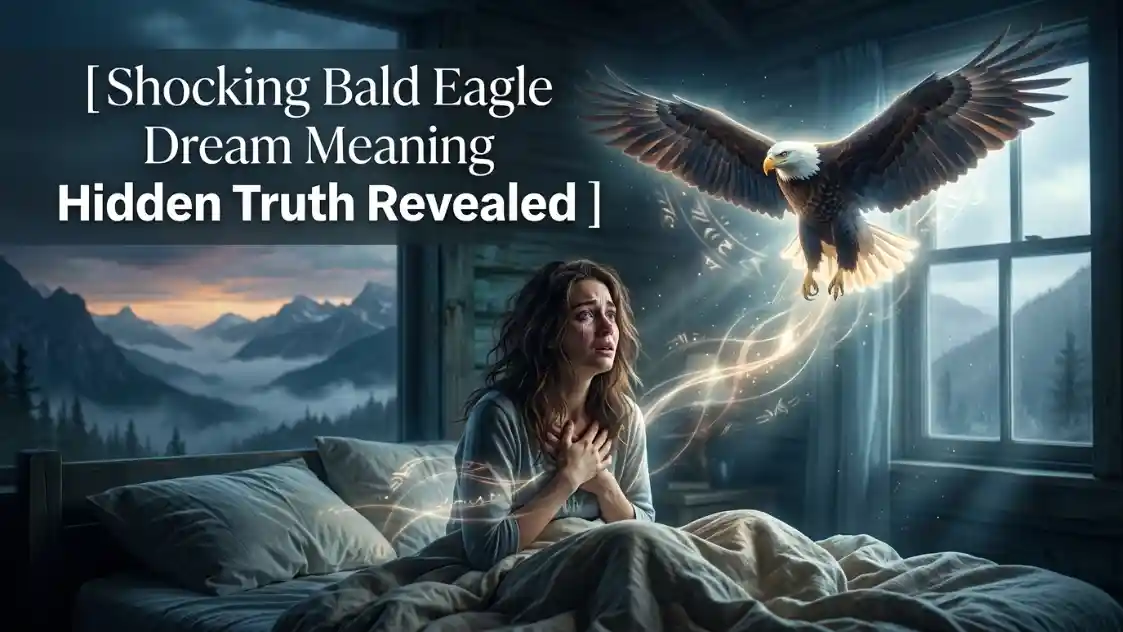 Bald Eagle Dream