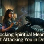 Cat Attacking You in Dream Meaning